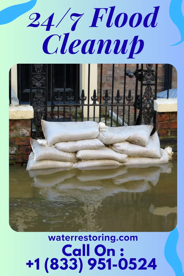24/7 Flood Cleanup in Pocahontas, IA